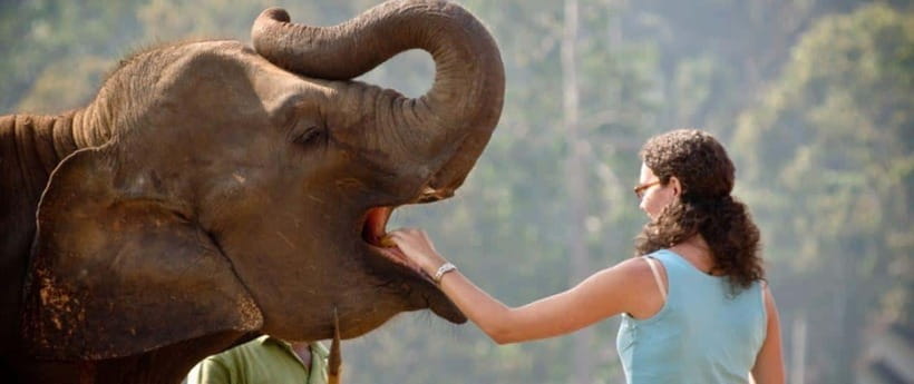 Pinnawala,Kandy Day Tour from Colombo/Negombo - Who should book this experience