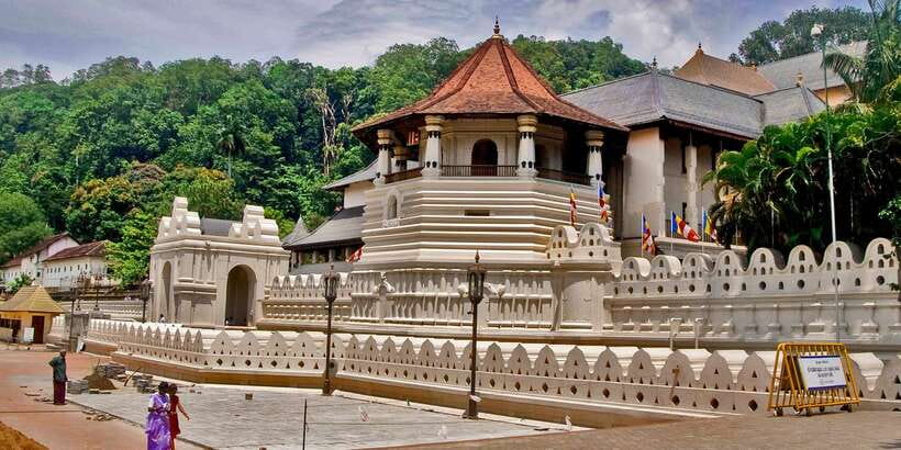Pinnawala & Kandy Day Tour from Negombo - The Royal Botanic Gardens in 45 minutes