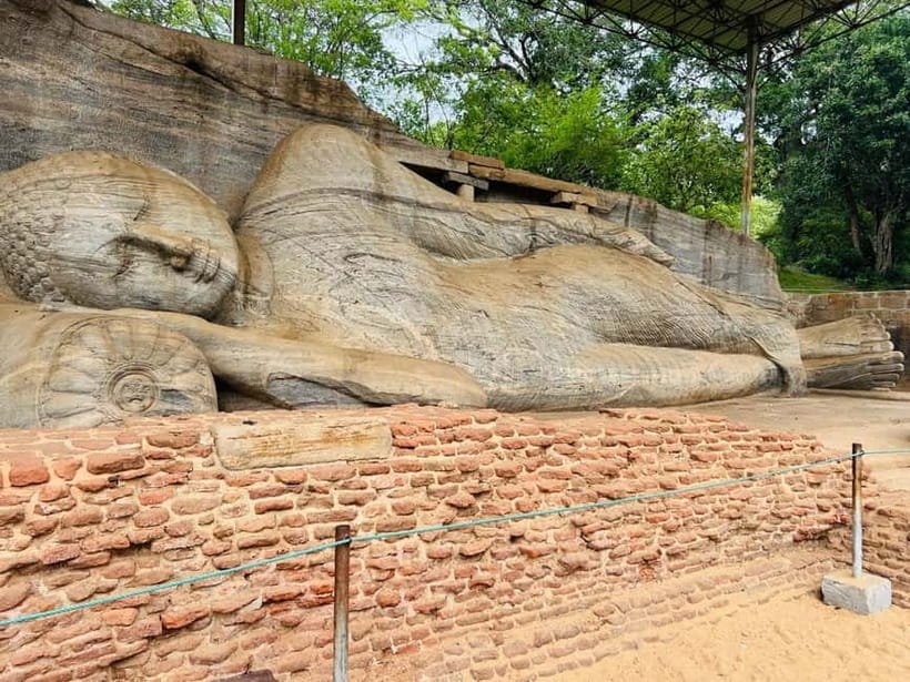Polonnaruwa Day Tour from Kandy (Private ) - Cinnamon, cardamom, and cloves at the spice garden