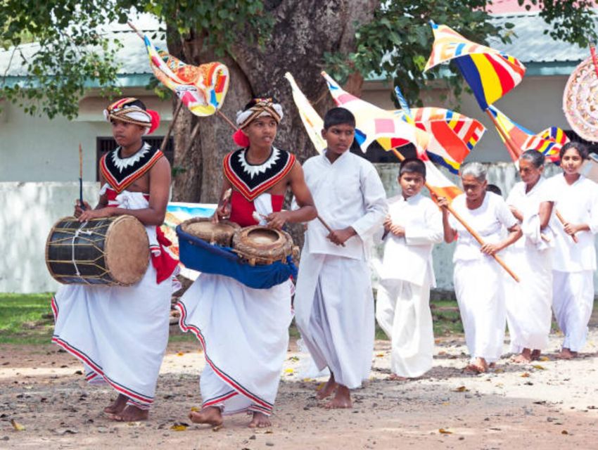 Polonnaruwa Day Tour With Minneriya NP Elephant Safari - The real price: $65 plus the extras