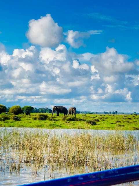 Pottuvil Lagoon Eco Tour : Mangrove Adventure in Arugam Bay - Sunrise or sunset: choosing your session