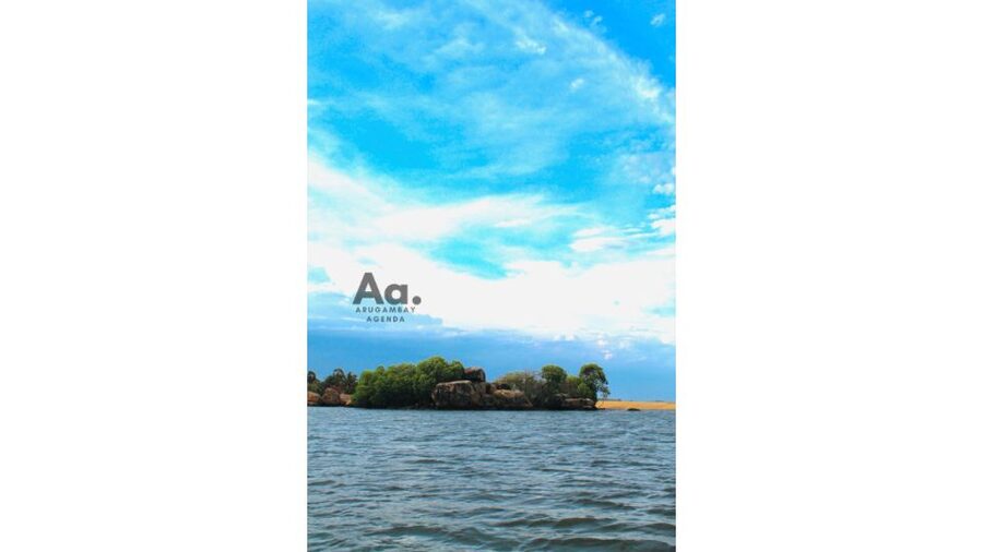Pottuvil Lagoon Eco Tour : Mangrove Adventure in Arugam Bay - A king coconut and a simple beach stop