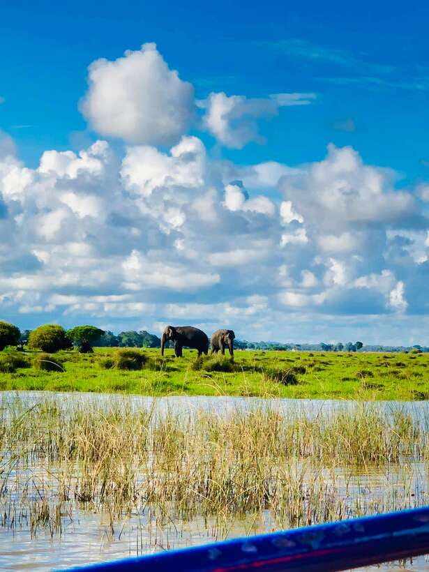 Pottuvil Lagoon Eco Tour : Mangrove Adventure in Arugam Bay - The tuk-tuk ride from Pottuvil or Arugam Bay