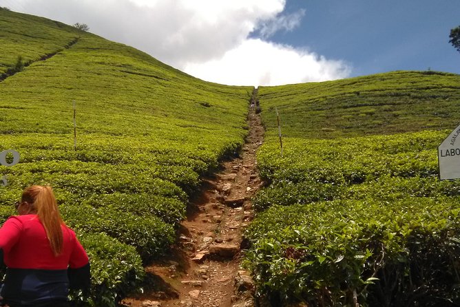 Private all inclusive Day tour Kandy, Pinnawala, & your own selected attractions - What this Negombo to Kandy day really involves