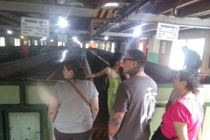 Private all inclusive Day tour Kandy, Pinnawala, & your own selected attractions - Pinnawala Ape Gama, an old-style village in a modern theme park