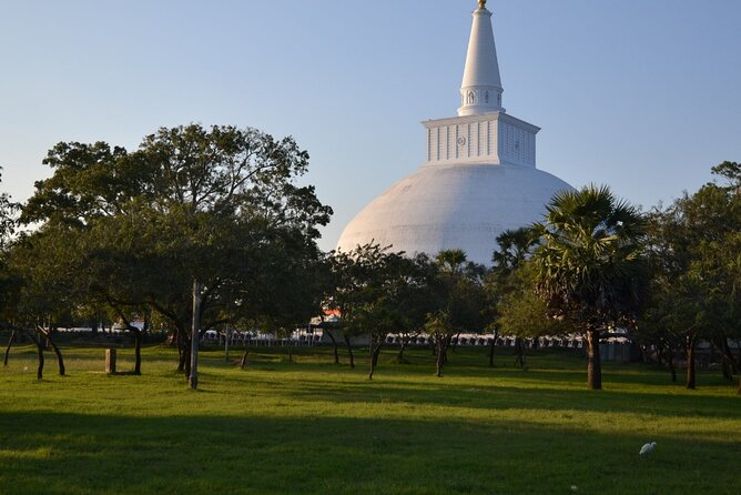 Private City Day Tour in Anuradhapura - Samadhi Statue and the quiet power of meditation