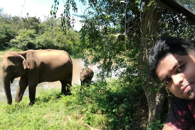 Private Dambulla Sigiriya Tour from Kandy with friendly chauffeur - Climbing Sigiriya Rock Fortress