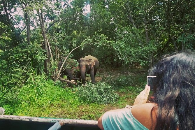 Private Dambulla Sigiriya Tour from Kandy with Lunch - Why this private Kandy trip is attractive