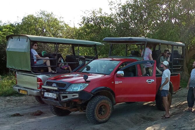 Private Day Tour from Colomb to Yala Safari (Leopard Safari Tour) - What the Colomb to Yala day is really like
