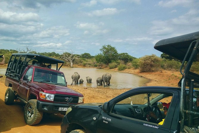Private Day Tour: Yala National Park Safari Tour from Galle & Weligama - Why this Yala safari works well from Galle