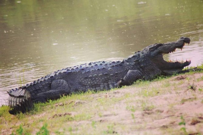 Private Day Tour: Yala National Park Safari Tour from Galle & Weligama - What the naturalist and safari jeep add