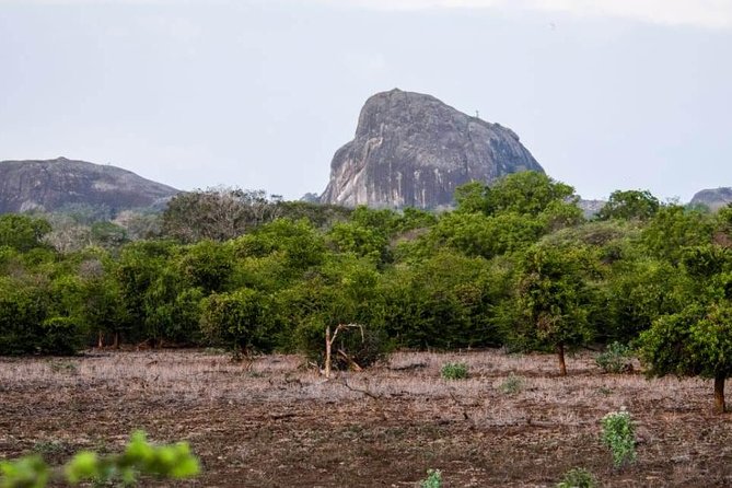 Private Day Tour: Yala National Park Safari Tour from Galle & Weligama - Booking details worth checking first