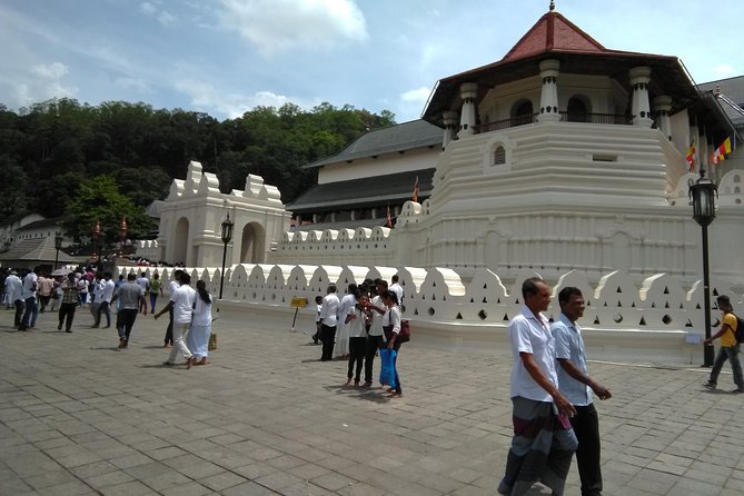 Private Day trip Kandy & pinnawala with your selected attractions - The Island Spice Grove and the shopping question