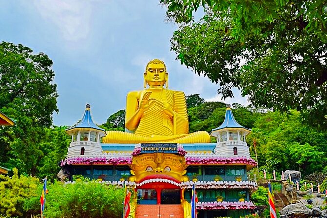 Private Day Trip To Minneriya Sigiriya and Dambulla From Kandy - Key points to know before booking