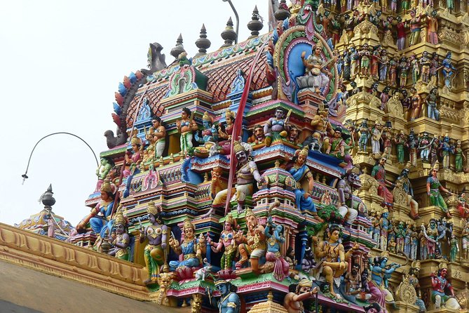 Private Day Trip to Sigiriya & Dambulla from Kandy – Aaliya Tours - Minneriya safari can turn the day into a very full one