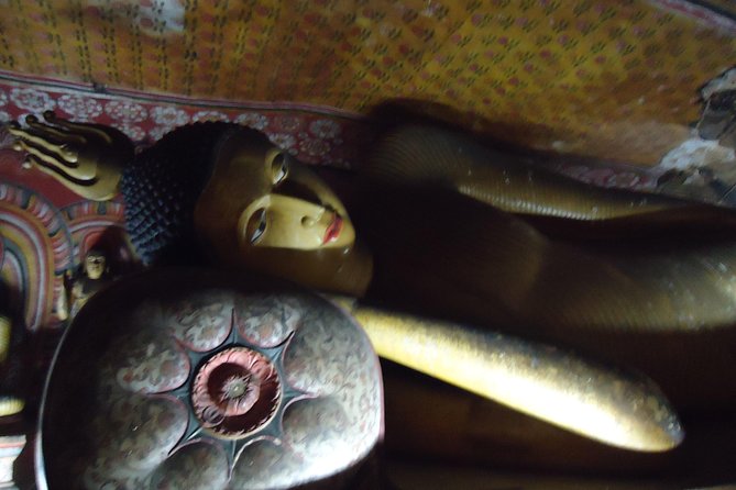 Private Day Trip to Sigiriya & Dambulla from Kandy – Aaliya Tours - The drivers are the real service advantage