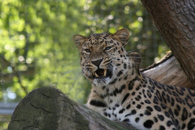 Private Day Trip to Yala National Park from Colombo - Galle Dutch Fort gives you a proper first stop
