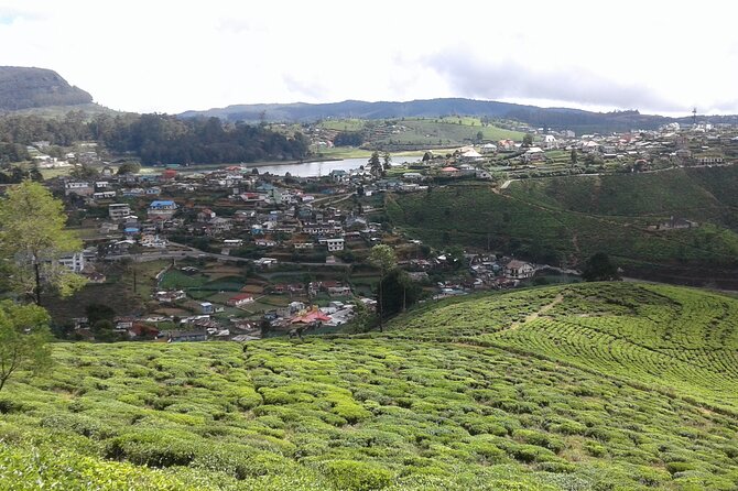 Private Full Day Tour to Nuwara Eliya from Kandy - What the private format really gives you