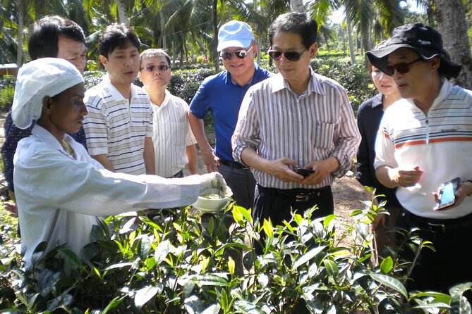 Private Galle Day Tour with Boat Safari & Tea Factory Visit - All Inclusive - The Buddhist temple and gem showroom
