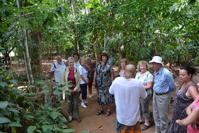 Private Galle Day Tour with Boat Safari & Tea Factory Visit - All Inclusive - Lunch, water, and what the all-inclusive price covers