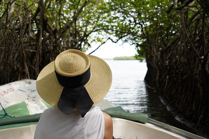 Private Galle Day Tour with River Safari, Stilt fishing & Turtles - From Bentota beaches to the southern coast