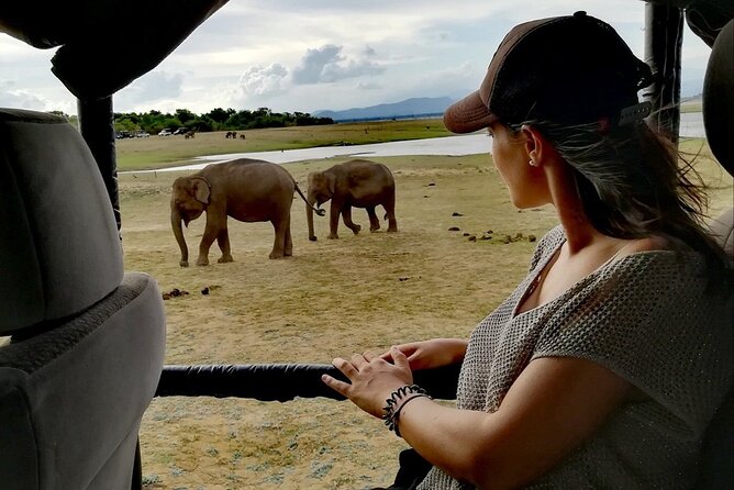 Private Half Day Safari in Udawalawe National Park - How to prepare for the park without overpacking
