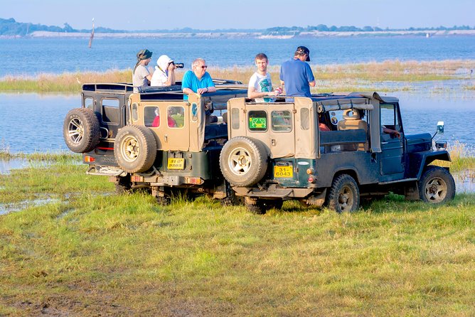 Private Jeep Safari at Minneriya National Park - Why the elephant gathering matters