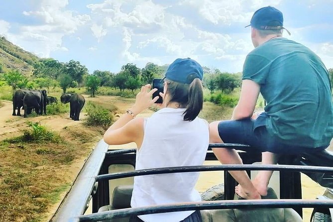 Private Jeep Safari at Minneriya National Park - What the three-and-a-half-hour game drive feels like