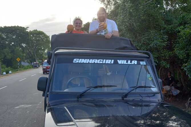 Private Jeep Safari at Minneriya National Park to Visit Elephants - What the private jeep ride is like