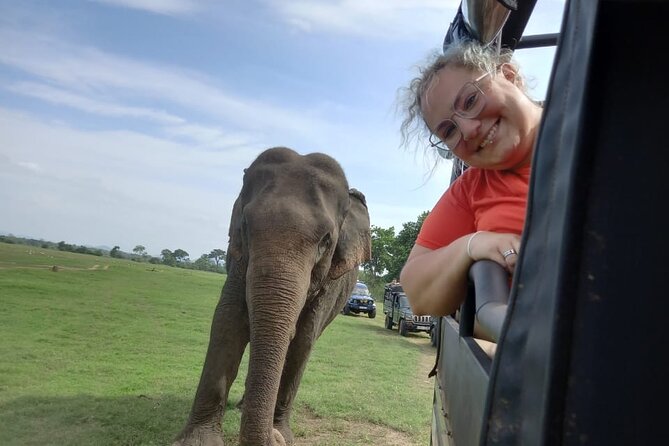Private Jeep Safari at Minneriya National Park to Visit Elephants - The wildlife beyond the elephants