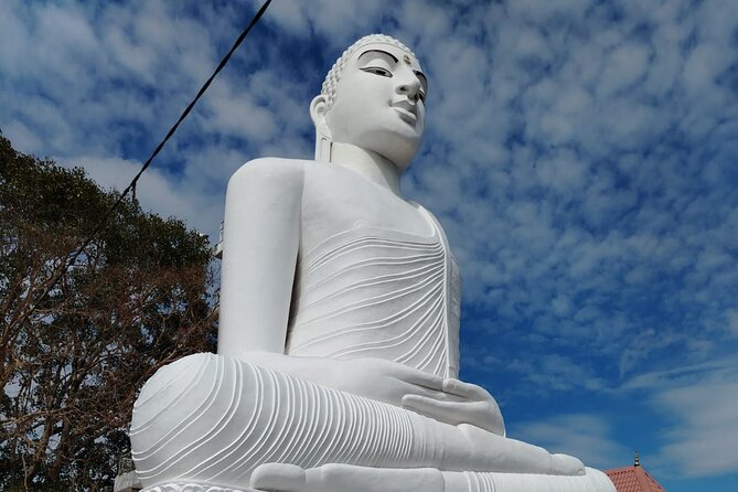 Private Kandy City Tour: Temple of the Tooth & Lake Highlights - Nelligala International Buddhist Centre and wide Central Hill views