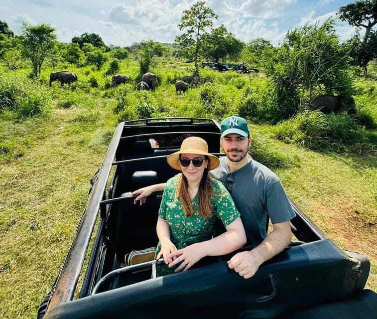 Private Kandy to Sigiriya and Minneriya Safari Day Tour - The driver makes or breaks this private tour