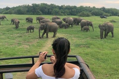 Private Multi Day Sri Lanka Tour with Chauffeur