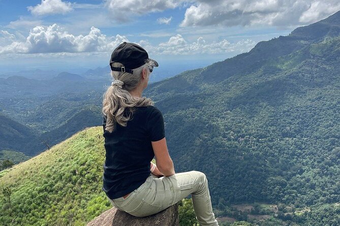 Private Multi Day Sri Lanka Tour with Chauffeur - Day 4: Ella’s bridge, tea hills, and waterfall