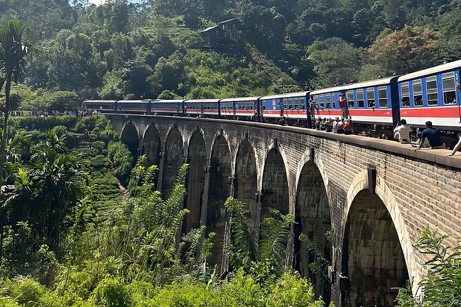 Private Multi Day Sri Lanka Tour with Chauffeur - What the chauffeur service adds