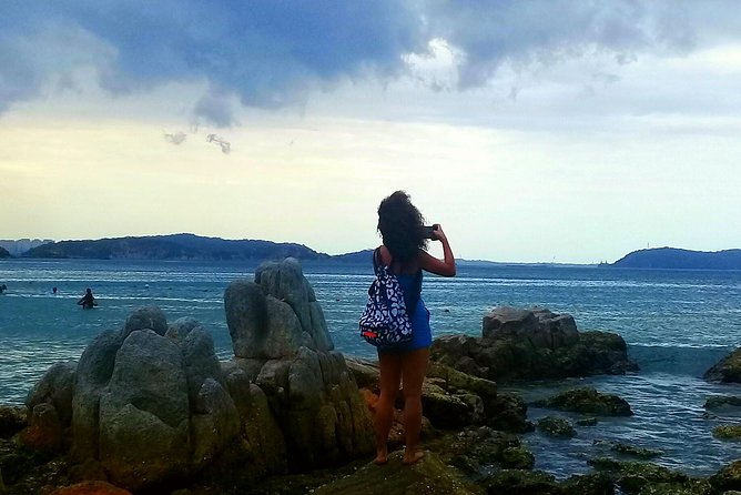 Private tour day tour trincomalee - Why this Trincomalee day works well