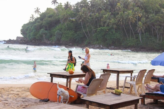 Private Tour Experiences Across Sri Lanka - Mirissa and the southern coast
