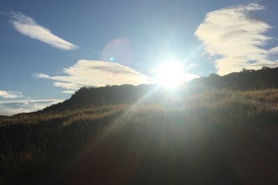 Private Tour in Horton Plains National Park & World’s End Tour with Pick up