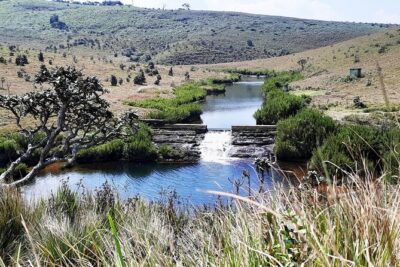 Private Tour in Horton Plains National Park ( World’s End) with Pickup