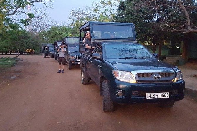 Private Tour : YALA National Park with Experienced Driver and Guide - What a private half-day safari feels like