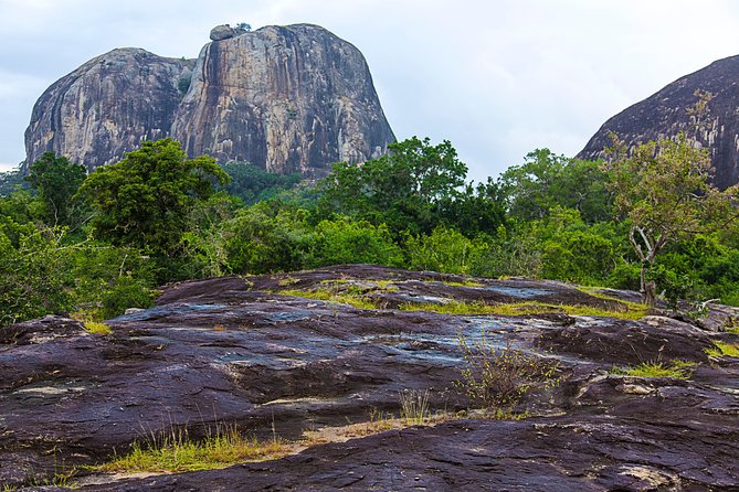 Private Tour : YALA National Park with Experienced Driver/Guide - Why patient driving matters