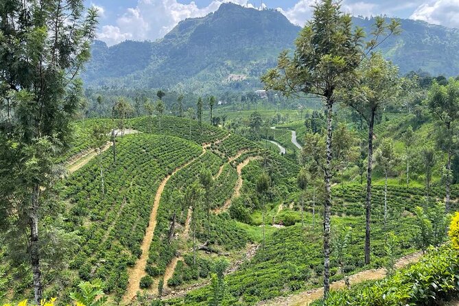 Private Transfer - Kandy to ella drop off and pick up - How the value compares with other ways to travel