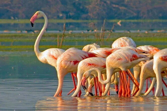 Private Transport Service from Sri Lanka - What is not included in the experience