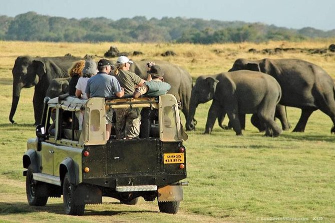 Private Trip to Sigiriya, Dambulla & safari from Colombo/ Negombo - What the $67 price really buys you