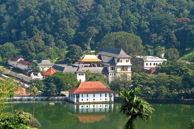 Private Tuk Tuk Tour of Kandy City & Surroundings - Pilimathalawa explains how Sri Lankan tea is made