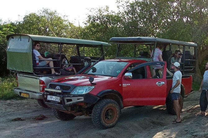 Private Wilpatu National Park Leopard safari from Colombo/Negambo - Lunch before the game drive