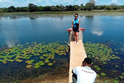 Private Wilpatu National Park Leopard safari from Colombo/Negambo