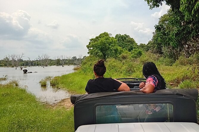 Private Wilpatu National Park Leopard safari from Colombo/Negambo - What makes the guides and drivers important