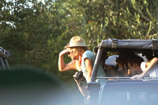 Private Yala Safari Day Trip & Exclusive Beach BBQ Dinner - Key points to know before booking