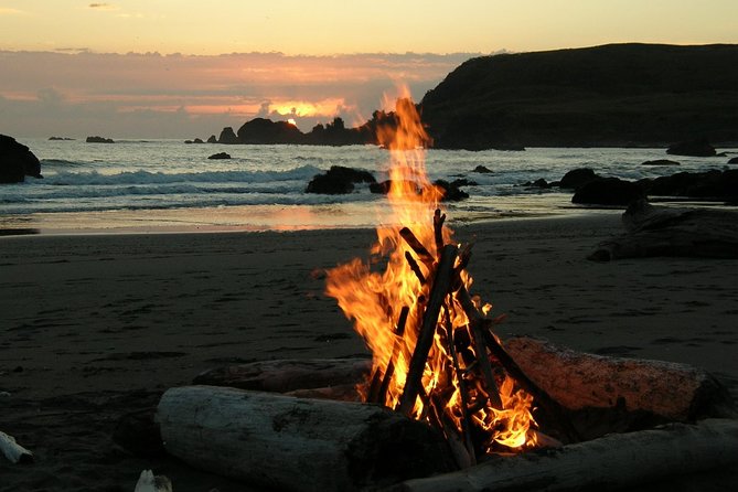 Private Yala Safari Day Trip & Exclusive Beach BBQ Dinner - What you might see on the three-hour game drive